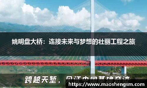 姚明盘大桥：连接未来与梦想的壮丽工程之旅