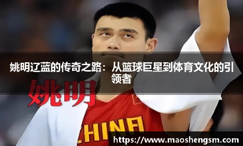 姚明辽蓝的传奇之路：从篮球巨星到体育文化的引领者